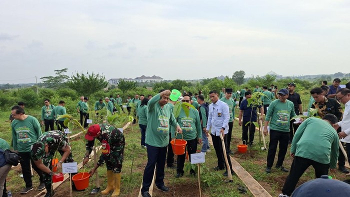 Pemerintah Siapkan Aturan Baru, Setiap Rumah Diwacanakan Wajib Punya Pohon