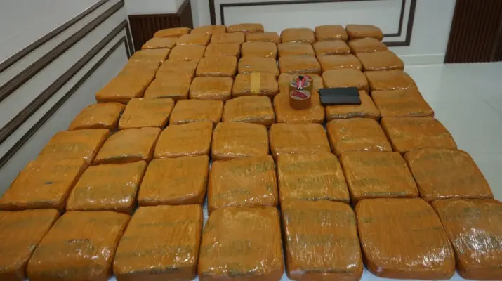 Polisi Sita 62,5 Kilogram Ganja di Petamburan, Dua Terduga Pengedar Diamankan